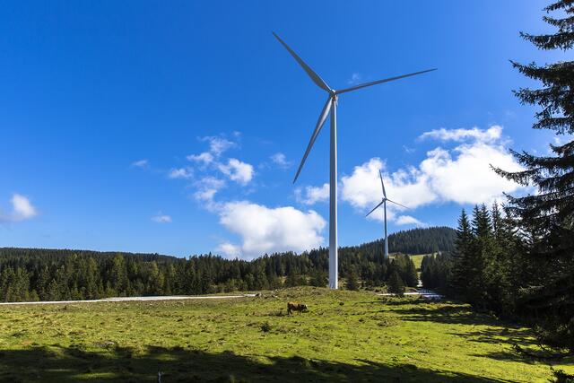 Klimawende-Projekt auf der Freiländeralm. | Foto: Energie Steiermark - Symbolfoto