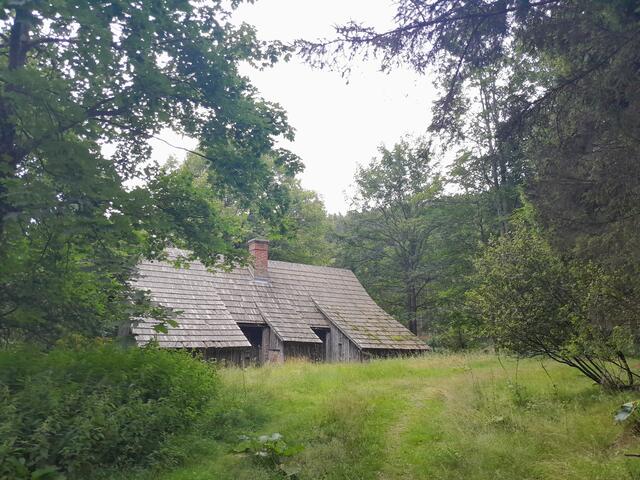 alte Jagdhütte 