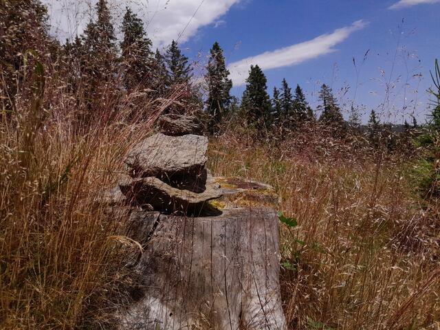 und dann dieses Türmchen in dem schönen und schon von weitem leuchtenden Gras gesehen