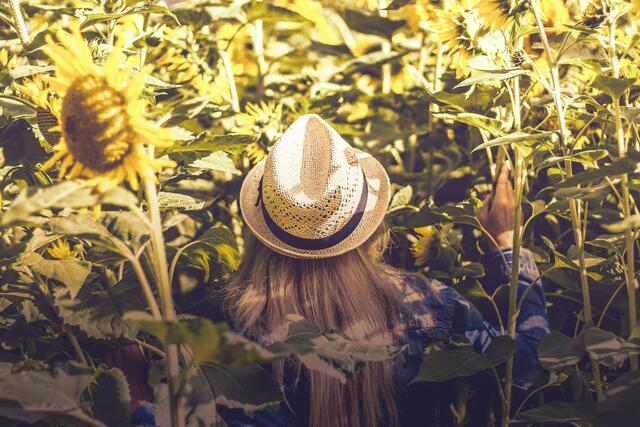 Die letzten Tage im Juli und die ersten im August versprechen Sommer pur. | Foto: Christoph Peich/unsplash