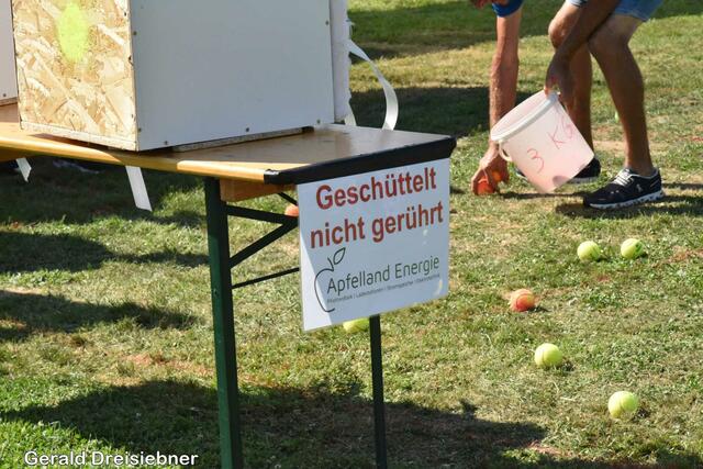 Foto: Gerald Dreisiebner