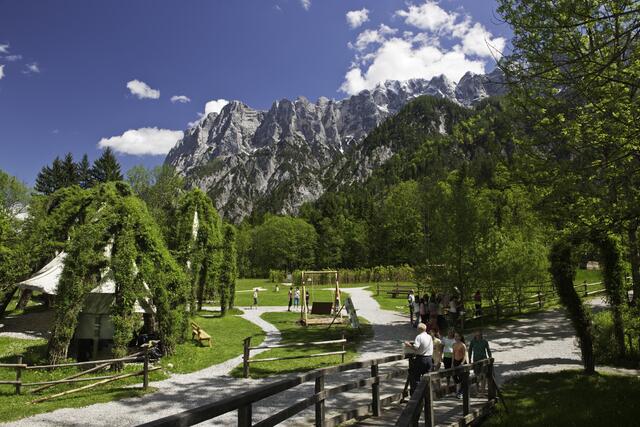 Bereits seit 10 Jahren besteht der faszinierende "Weidendom" in Gstatterboden. | Foto: Nationalpark Gesäuse/Hudelist