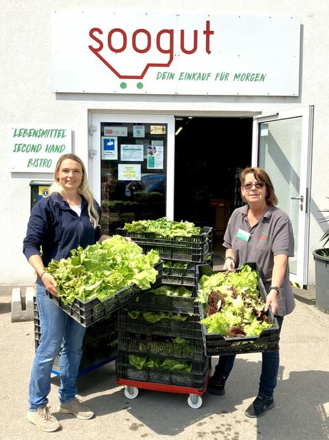 Gartenleiterin Susanne Leeb bei der Übergabe der Gemüseernte an den SooGut-Markt in Tulln. | Foto: DIE GARTEN TULLN