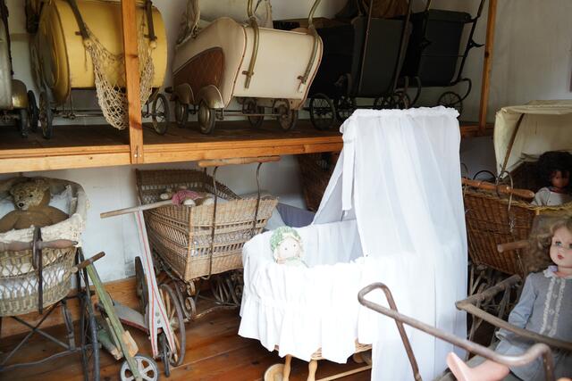 Foto: Andrea Glatzer