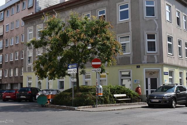 Die Antonigasse ist das Zuhause von vielen Spatzen. Das soll auch in Zukunft so bleiben.  | Foto: BV18