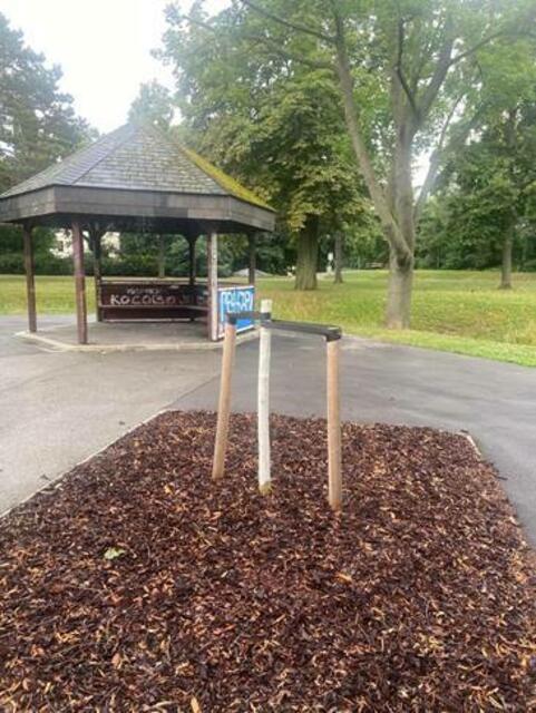 Zuletzt ergaunerten sich die Vandalen ein bisschen Holz. | Foto: Stadtgemeinde Schwechat