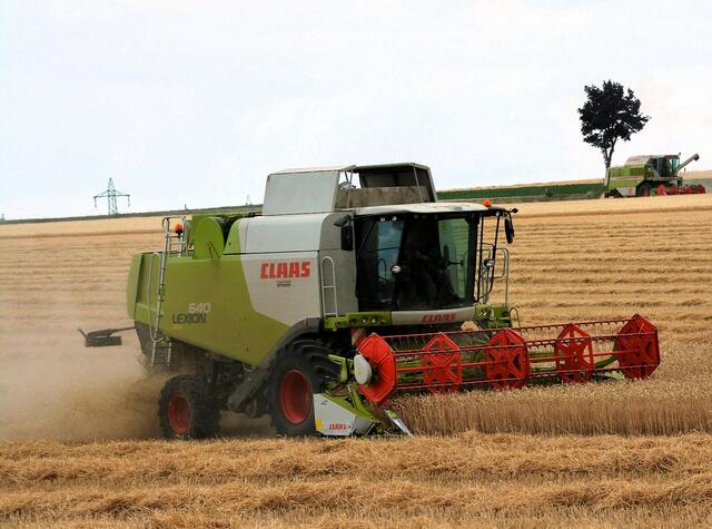 Mit einer Schnittbreite von 6 Metern brachten die Mähdrescher die Getreideernte in wenigen Tagen ein.