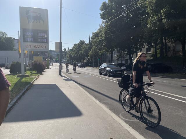 Der Döblinger Radweg in der Krottenbachstraße erhitzt die Gemüter. Einig wird man sich nicht, das merkt man auch bei den Anliegen der Bewohnenden.  | Foto: Laura Rieger/MeinBezirk