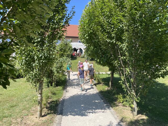Foto: MeinBezirk Oberösterreich