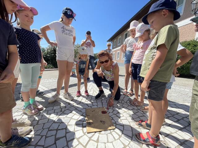 Foto: MeinBezirk Oberösterreich