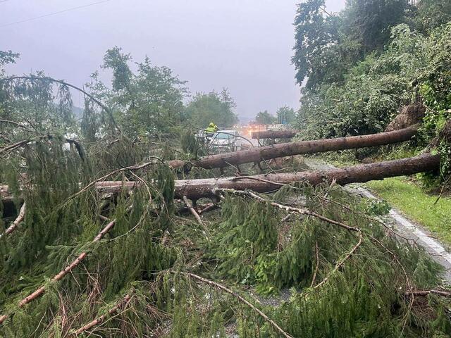 Im Bereich der Draubrücke (B82) stürzten am Sonntag kurz vor 16 Uhr mehrere Bäume auf die Straße. Ein PKW wurde dabei beschädigt. | Foto: FF Völkermrkt