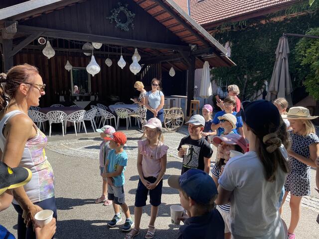 Foto: MeinBezirk Oberösterreich