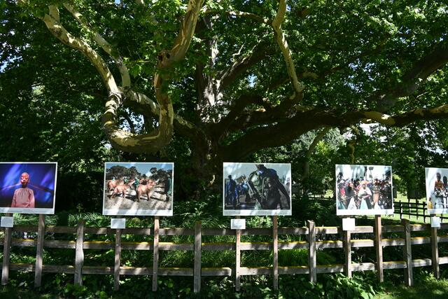 Naturfotos im Doblhoffpark. | Foto: Herbert Ziss