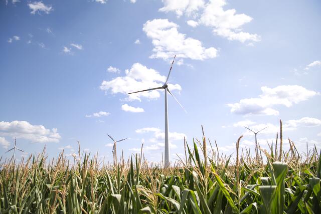 Die 2,3 MW-Windkraftanlage ist Teil der BEG Haunoldstein | Foto: EVN / Daniela Matejschek