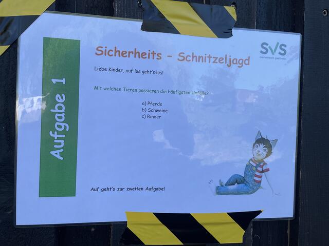 Foto: MeinBezirk Oberösterreich