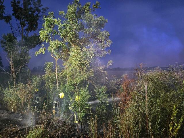 400 Quadratmeter standen bei einem Flurbrand bei Neufeld in Flammen.  | Foto: FF Neufeld
