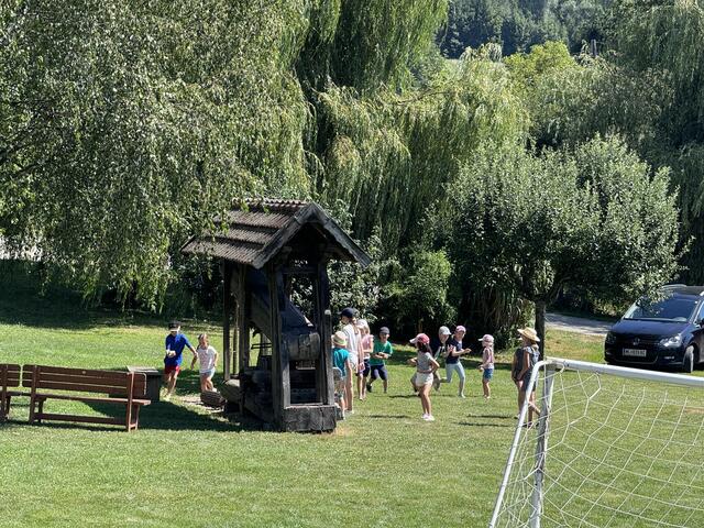 Foto: MeinBezirk Oberösterreich