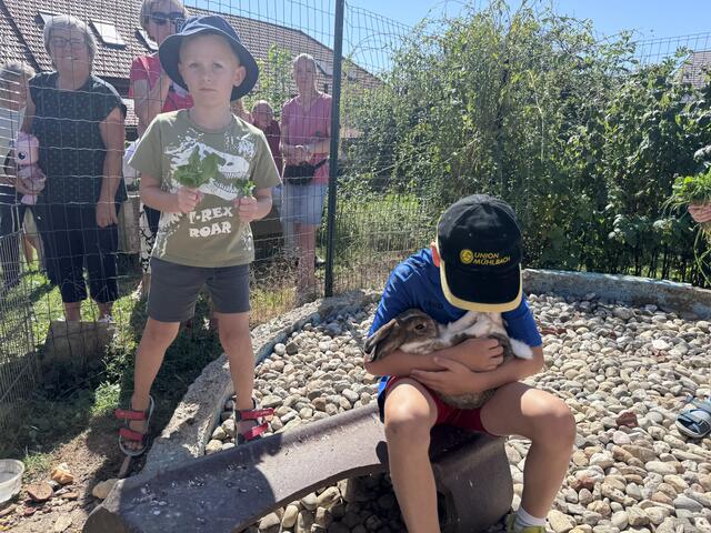 Foto: MeinBezirk Oberösterreich