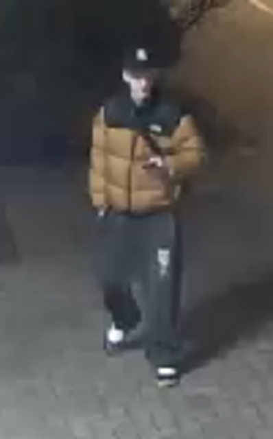 Ein bisher unbekannter Täter versuchte am 16. März 2024, gegen 22.30 Uhr, am Bahnhof Kritzendorf einen Getränke/Snackautomaten mit einem Stein einzuschlagen.