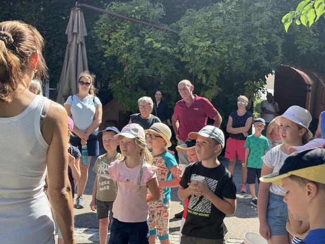 Foto: MeinBezirk Oberösterreich