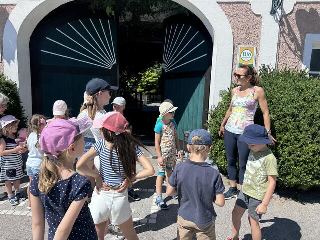 Foto: MeinBezirk Oberösterreich