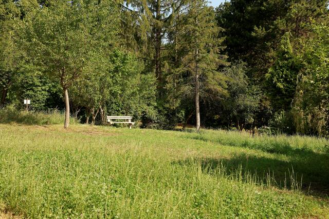 Die Steinhofgründe in Penzing wurden um tausende Quadratmeter erweitert.  | Foto: Martin Votava