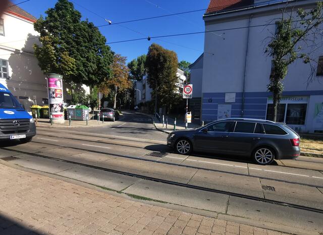 Der Wildgarten bei der Kreuzung bei der Jägerhausstraße sollte sicherer werden, so Grossauer-Ristl. | Foto: Grüne Meidling