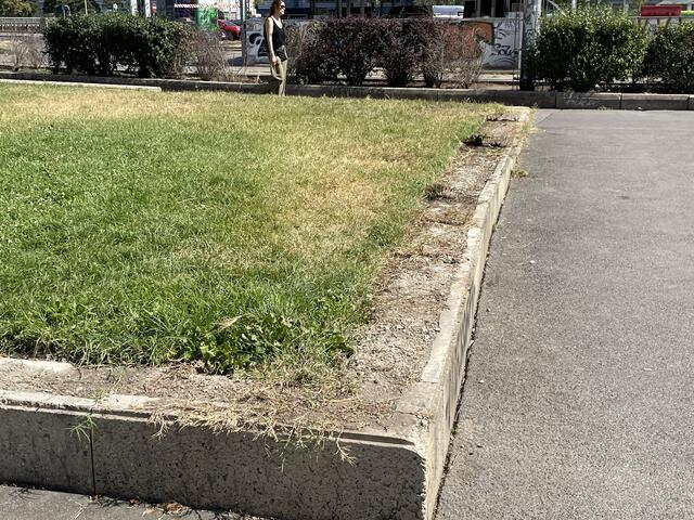 Die Fassungen der Wiese, die nicht mehr gut anzusehen waren, wurden entfernt. | Foto: Michael Marbacher / MeinBezirk