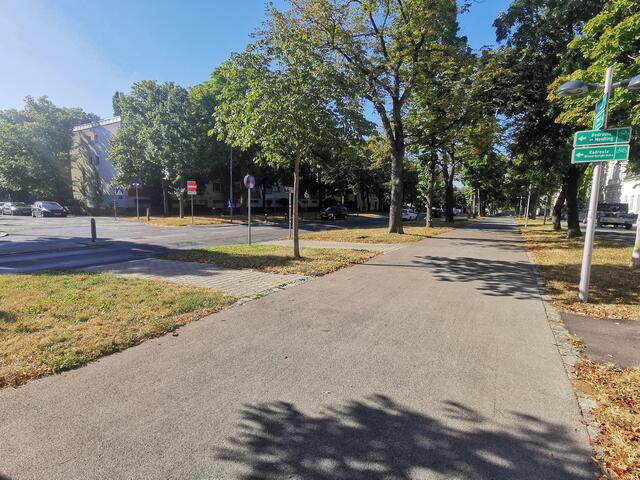 Auch über die Schönbrunner Allee sind die Querungen für den Radverkehr kritisch, so Grossauer-Ristl. | Foto: Grüne Meidling