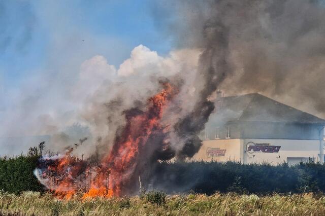 Foto: Team Fotokerschi.at/Privat