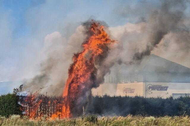 Eine Hecke brannte in Eferding. Umliegende Gebäude wurden nicht beschädigt. | Foto: Team Fotokerschi.at/Privat