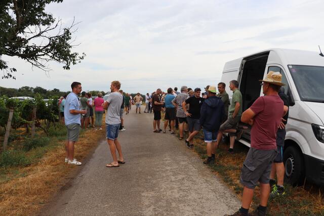 Zur Demonstration kamen Landwirtinnen und Landwirte von Oberpullendorf bis Neusiedl am See.  | Foto: Vanessa Trabi
