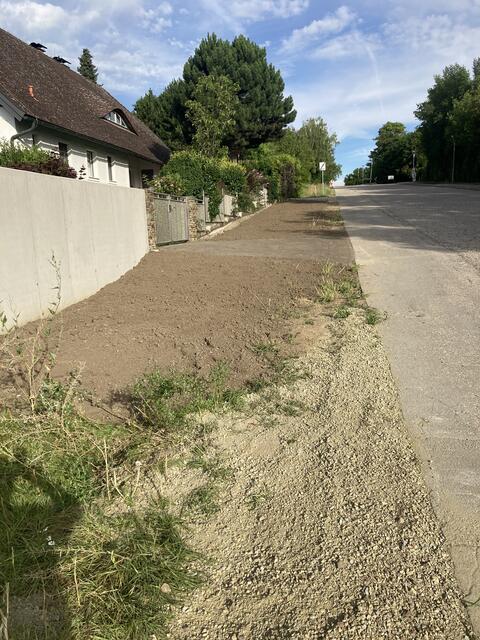 Hier verschwand die Blühoase. | Foto: Liste Scharinger
