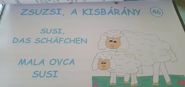 Die illustrierten Kinderbücher sind dreisprachig. | Foto: Katharina Dowas