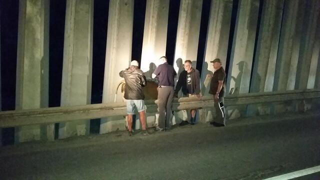Helfer zur Stelle | Foto: Tiroler Bergwacht - Einsatzstelle Stubai