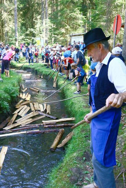 1916 wurde letztmals Scheitholz vom Rosenhügel bis Haslach geschwemmt. | Foto: gawe