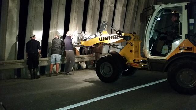 Tierrettung mit vereinten Kräften | Foto: Tiroler Bergwacht - Einsatzstelle Stubai