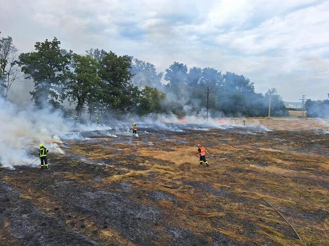 Die Feuerwehr Donnerskirchen musste zu einem Flurbrand ausrücken.  | Foto: FF Donnerskirchen