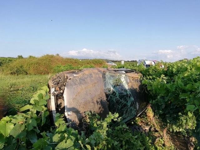 Das Auto hatte sich mehrmals überschlagen, ehe es im Weingarten zu Liegen gekommen war.  | Foto: FF Mörbisch/See