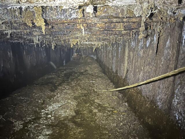Zum Schutz der Einsatzkräfte vor den im Kanal vorherrschenden Faulgasen und Fäkalien wurde der aus zwei Feuerwehrmitgliedern bestehende Atemschutztrupp mit Wathosen und schwerem Atemschutz ausgerüstet und mit Leinen gesichert. | Foto: FF Altpölla