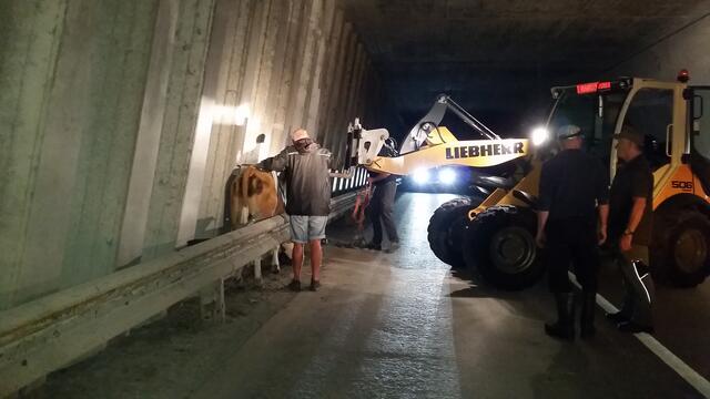 Kurz vor der Rettung | Foto: Tiroler Bergwacht - Einsatzstelle Stubai