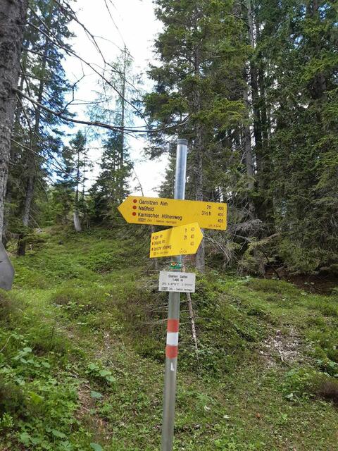 Der 85-Jährige war allein am Karnischen Höhenweg unterwegs. | Foto: Beatrix Anawender