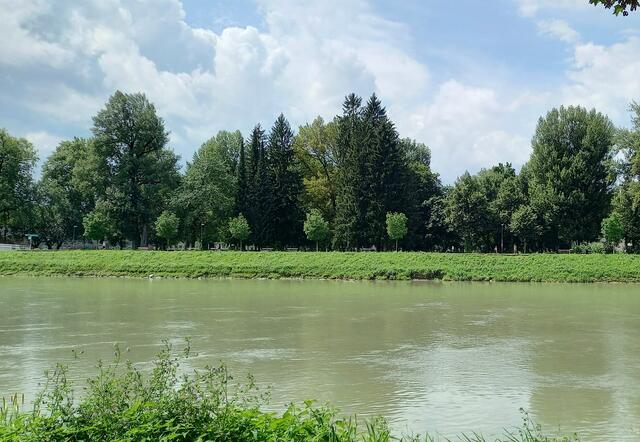 An der Salzach  | Foto: H.Bachinger 