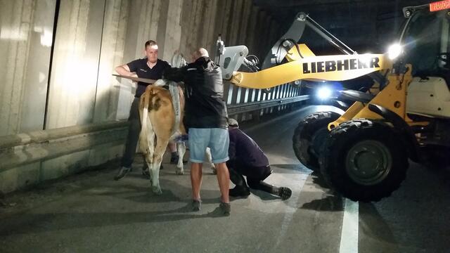 Geschafft - nun nur noch über den Weiderost. | Foto: Tiroler Bergwacht - Einsatzstelle Stubai
