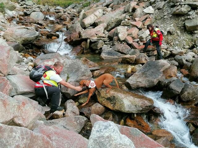 Du wolltest dich schon immer im Bereich der Freiwilligenarbeit beteiligen und auch den Hund wäre perfekt, um sich an Rettungsaktionen zu beteiligen? Die Rettungshundestaffel des Samariterbundes im Burgenland sucht Unterstützung.  | Foto: Rettungshundestaffel Samariterbund