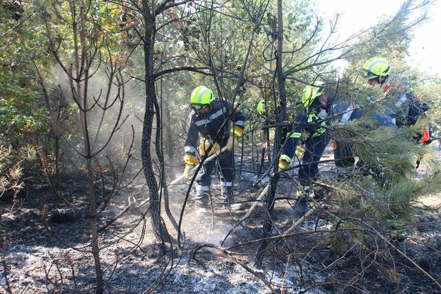 Aufgrund der momentan anhaltenden Trockenheit ist die Waldbrandgefahr-Verordnung in Kraft getreten. | Foto: Wolfgang Zarl