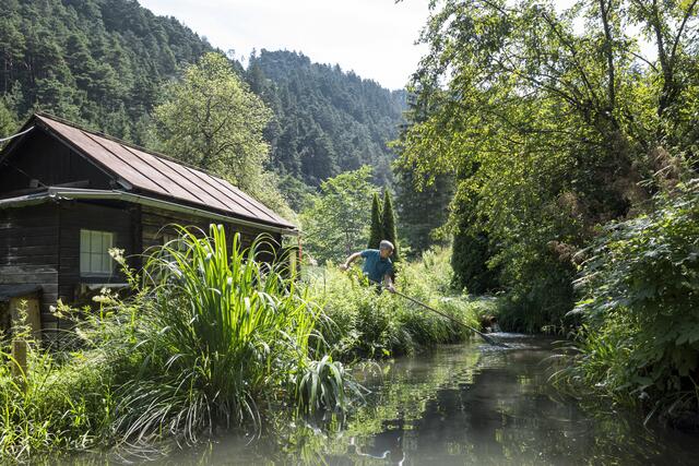 So schaut die Welt des mittlerweile pensionierten Spitzenpolitikers Anton Steixner heute aus. | Foto: AMTirol