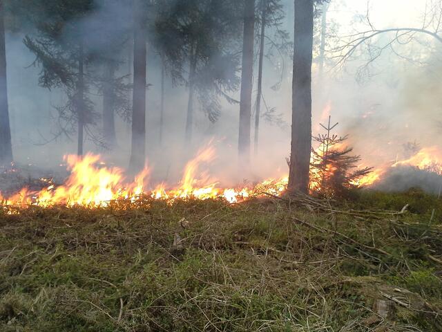 Kein Brand darf unterschätzt werden. Auch kleine Brände können sich rasend schnell (zb. durch Wind) zu einem Großbrand ausweiten.  | Foto: FF Kühnsdorf