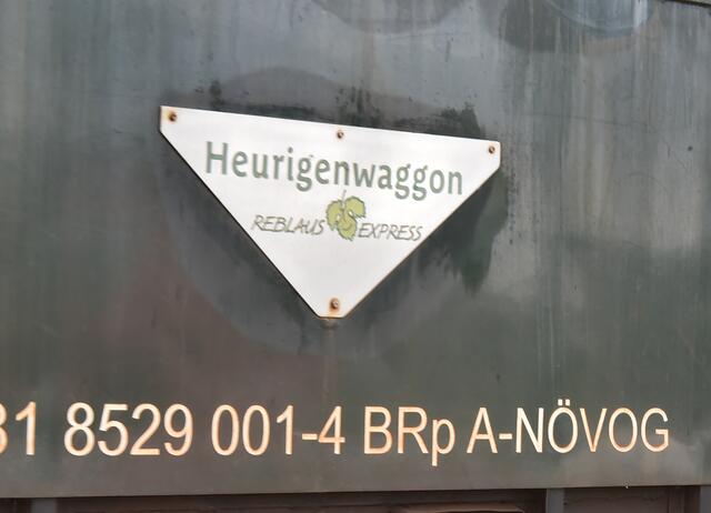 Foto: Herbert Schleich