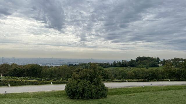 Der Cobenzl ist mit seinem Ausblick berühmt. Doch wer hier mit dem Auto herauf will findet leider oft keinen Parkplatz.  | Foto: Johannes Reiterits/RMW